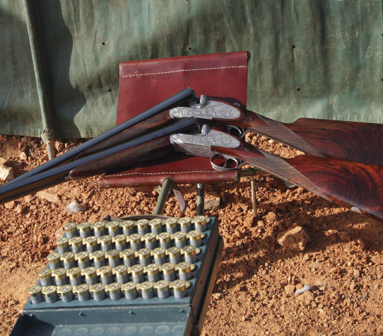 valdepalacios hunting experience