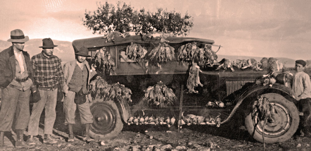 tradicion en hunting valdepalacios