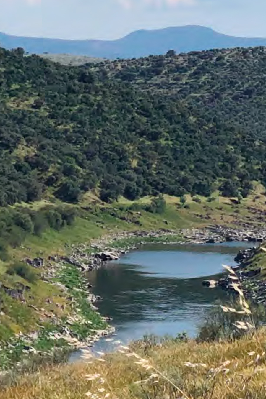 FINCA-VALDELAYEGUA rio