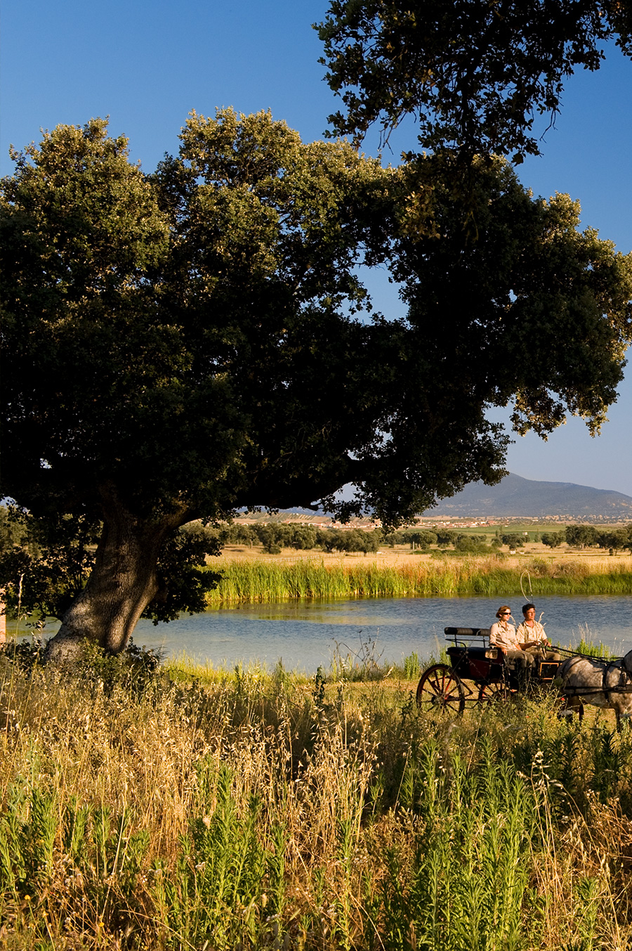 entorno finca valdepalacios
