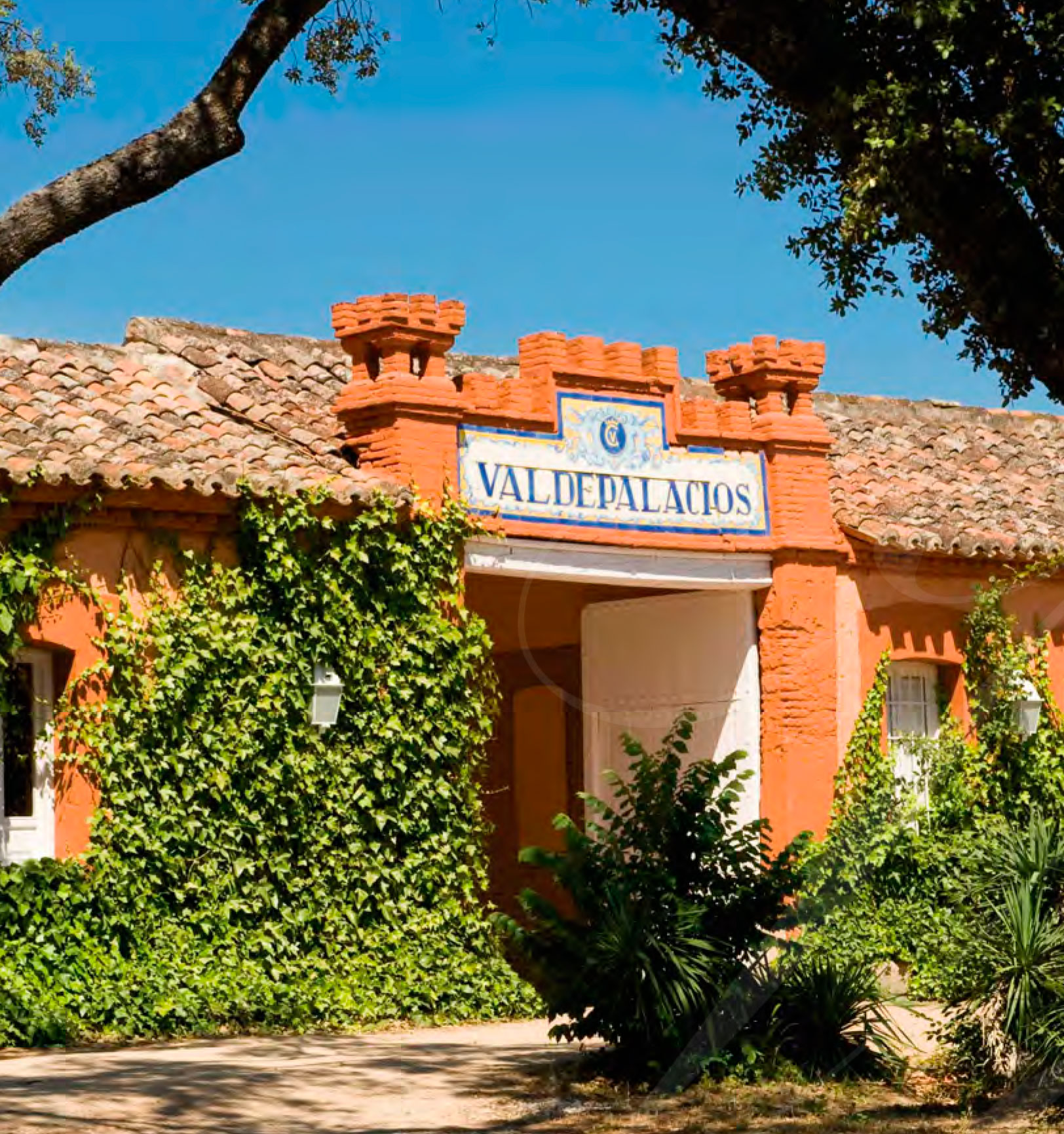 principal_valdepalacios entrada hunting valdepalacios