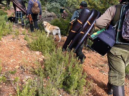 equipo valdepalacios hunting experience