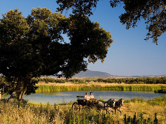 experiencias en valdepalacios hunting experience