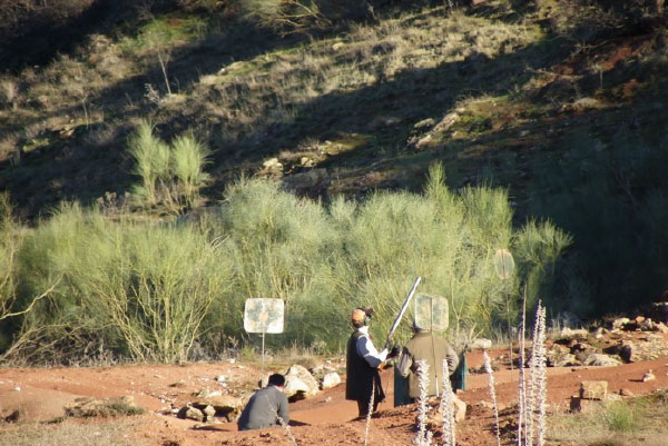 caza hunting valdepalacios