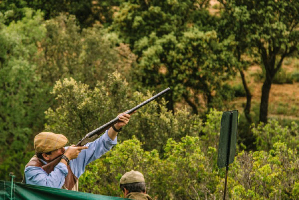 Tiradas de patos valdepalacios hunting experience